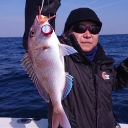 ARCADIAⅡ (アルカディアⅡ) 釣果