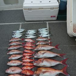 ARCADIAⅡ (アルカディアⅡ) 釣果