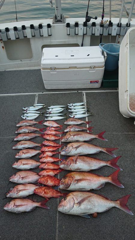 ARCADIAⅡ (アルカディアⅡ) 釣果