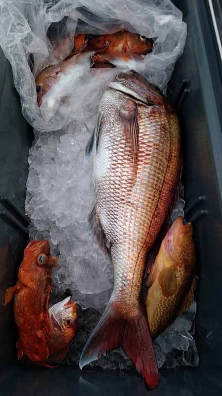 LUSTER『ラスター』 釣果