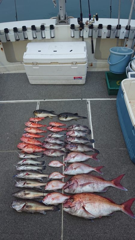 ARCADIAⅡ (アルカディアⅡ) 釣果