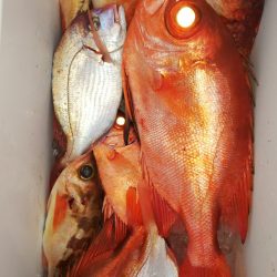 第二龍勢丸 釣果