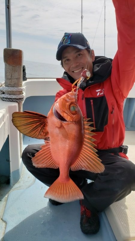 だて丸 釣果