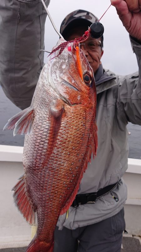 ARCADIAⅡ (アルカディアⅡ) 釣果