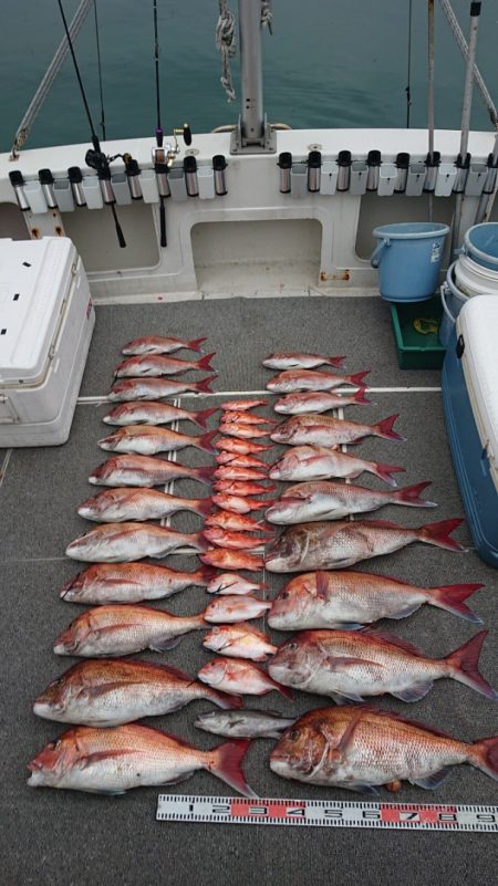 ARCADIAⅡ (アルカディアⅡ) 釣果