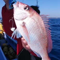 新幸丸 釣果