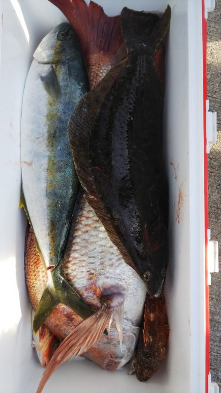 第二龍勢丸 釣果