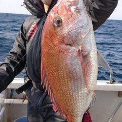 ARCADIAⅡ （アルカディアⅡ） 釣果