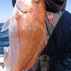 ARCADIAⅡ （アルカディアⅡ） 釣果