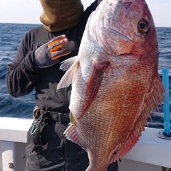 ARCADIAⅡ （アルカディアⅡ） 釣果