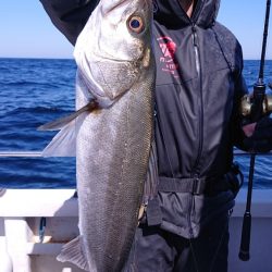 ARCADIAⅡ （アルカディアⅡ） 釣果