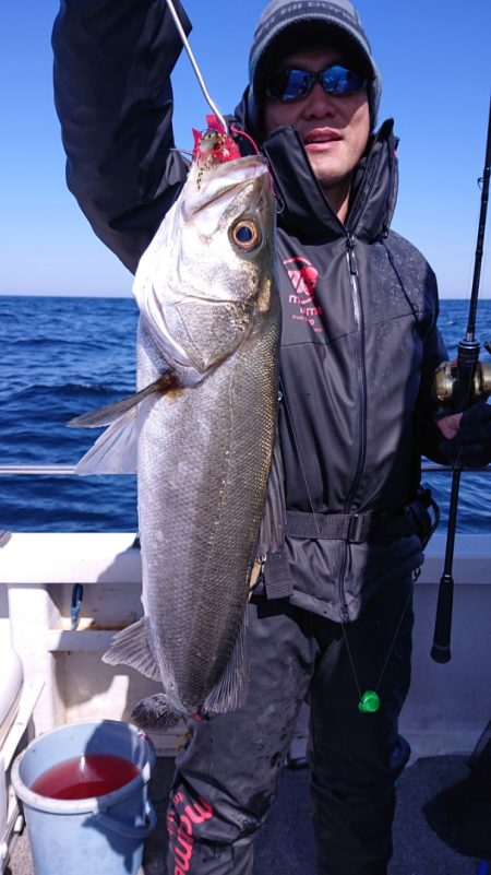 ARCADIAⅡ （アルカディアⅡ） 釣果