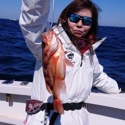 ARCADIAⅡ （アルカディアⅡ） 釣果