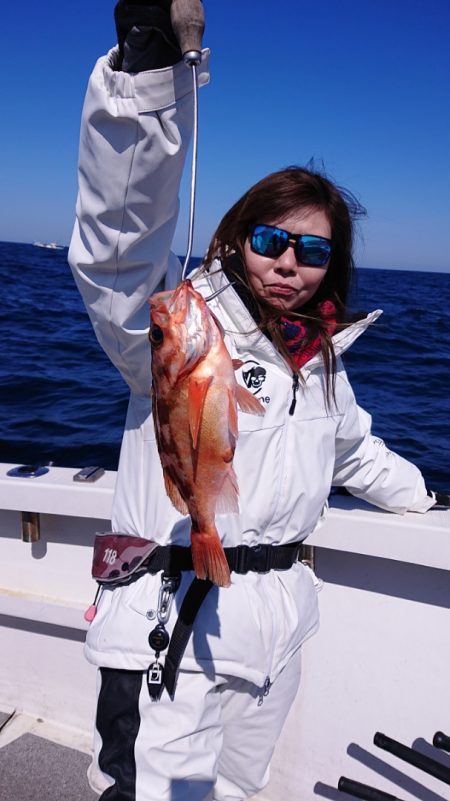 ARCADIAⅡ （アルカディアⅡ） 釣果