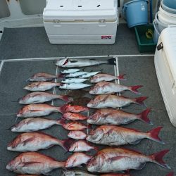 ARCADIAⅡ （アルカディアⅡ） 釣果