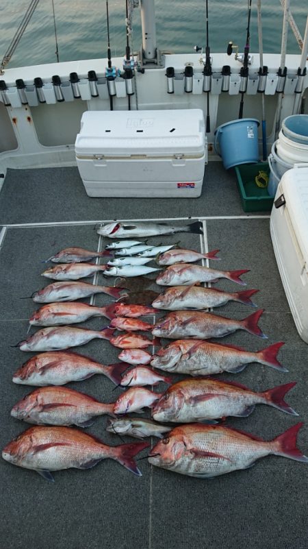 ARCADIAⅡ （アルカディアⅡ） 釣果