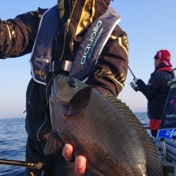 シースナイパー海龍 釣果