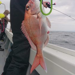 だて丸 釣果
