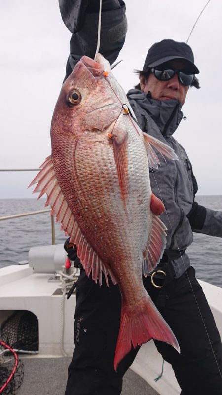 ARCADIAⅡ (アルカディアⅡ) 釣果