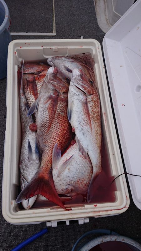 ARCADIAⅡ (アルカディアⅡ) 釣果