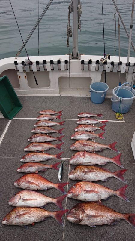 ARCADIAⅡ (アルカディアⅡ) 釣果