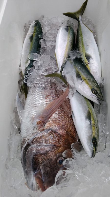 LUSTER『ラスター』 釣果