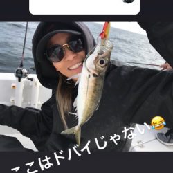 龍神丸（鹿児島） 釣果