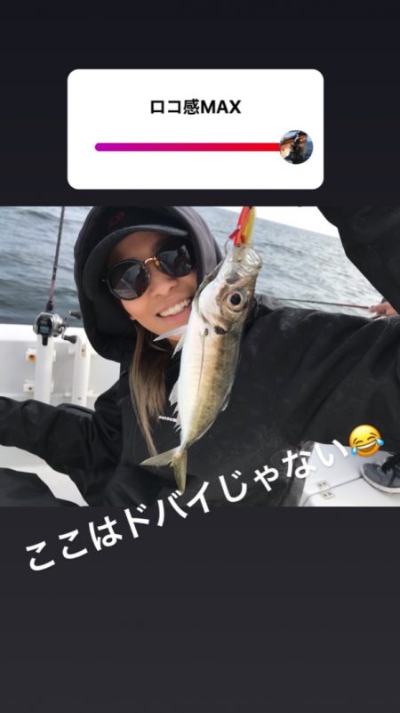 龍神丸（鹿児島） 釣果