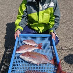 第三共栄丸 釣果