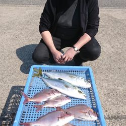 第三共栄丸 釣果