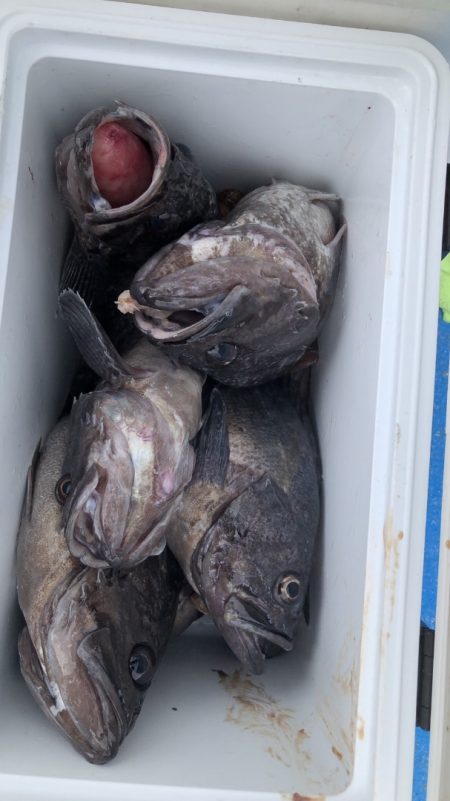 海龍丸（石川） 釣果