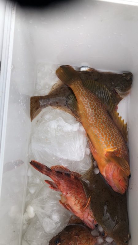 海龍丸（石川） 釣果