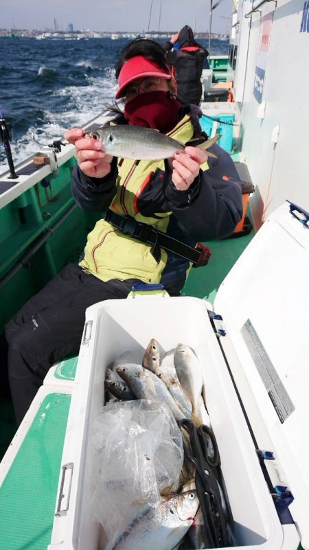 金沢八景鴨下丸 釣果