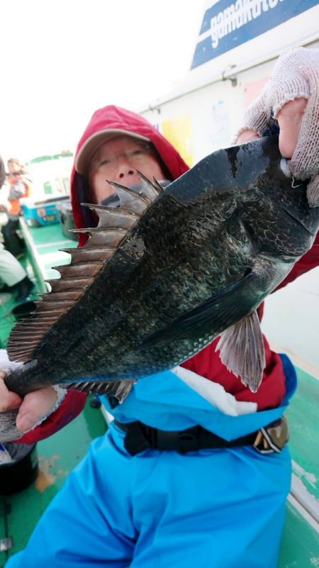 金沢八景鴨下丸 釣果