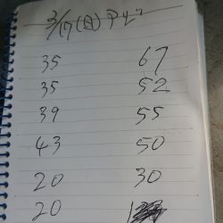 金沢八景鴨下丸 釣果