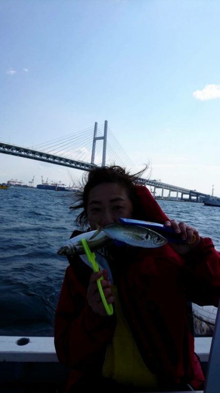 金沢八景鴨下丸 釣果