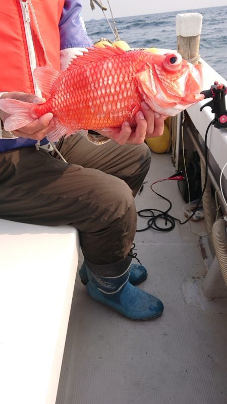 エンペラー 釣果