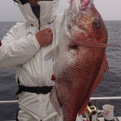 ARCADIAⅡ （アルカディアⅡ） 釣果