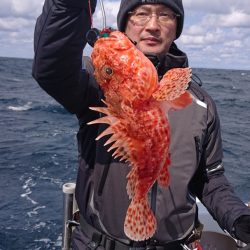 ARCADIAⅡ （アルカディアⅡ） 釣果