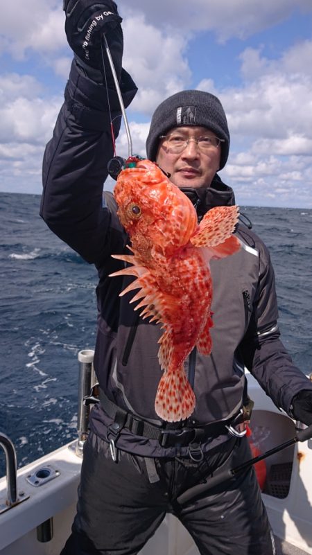 ARCADIAⅡ （アルカディアⅡ） 釣果