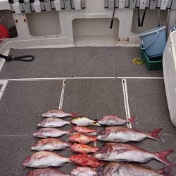 ARCADIAⅡ （アルカディアⅡ） 釣果