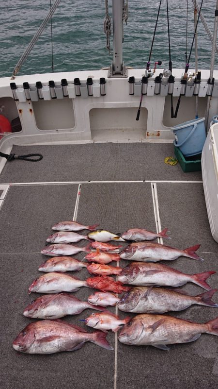 ARCADIAⅡ （アルカディアⅡ） 釣果