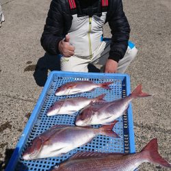 第三共栄丸 釣果