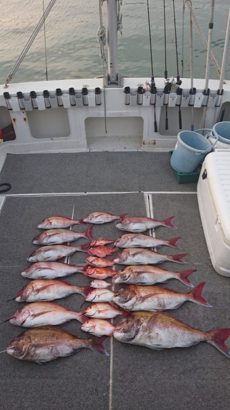 ARCADIAⅡ (アルカディアⅡ) 釣果