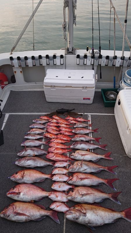 ARCADIAⅡ （アルカディアⅡ） 釣果…