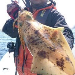 きずなまりん 釣果