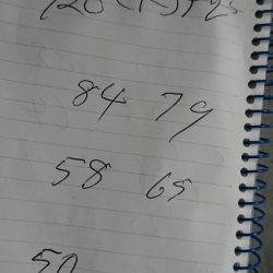 金沢八景鴨下丸 釣果