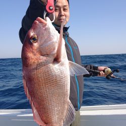 だて丸 釣果