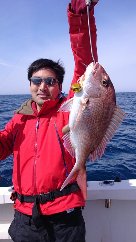 ARCADIAⅡ (アルカディアⅡ) 釣果