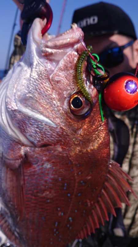 ARCADIAⅡ (アルカディアⅡ) 釣果